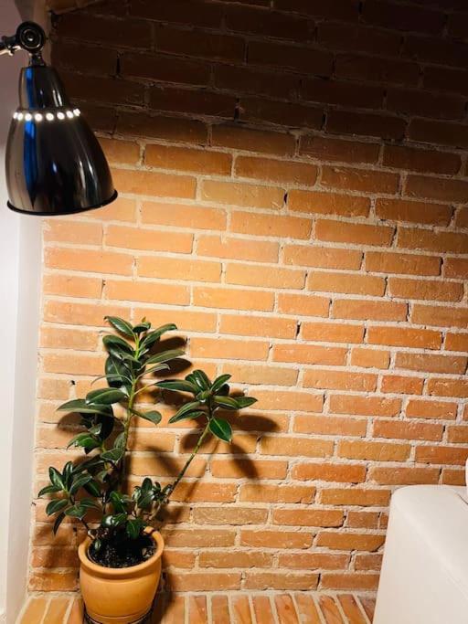 Apartment Bonjour - Old Town Mostowa Torun
