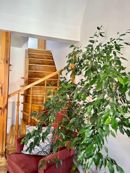 Apartment Bonjour - Old Town Mostowa